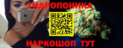 Альфа ПВП Кимры