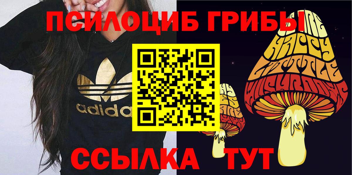 Красногорск  Псилоцибиновые грибы ЛСД  Вход с VPN 