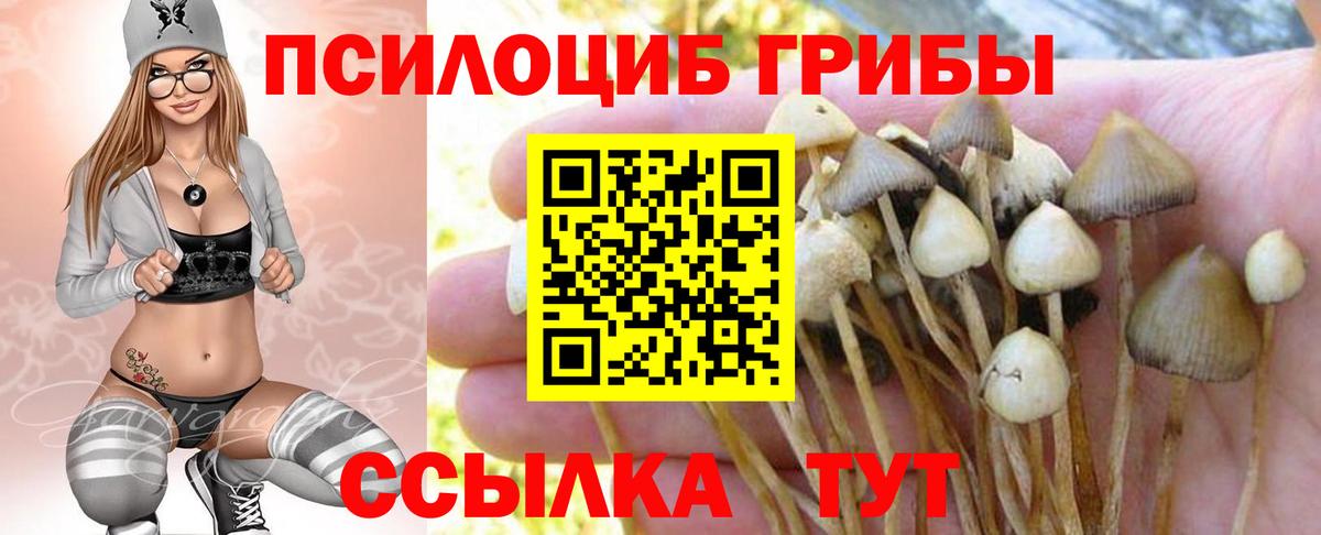 Псилоцибиновые грибы прущие грибы Красногорск